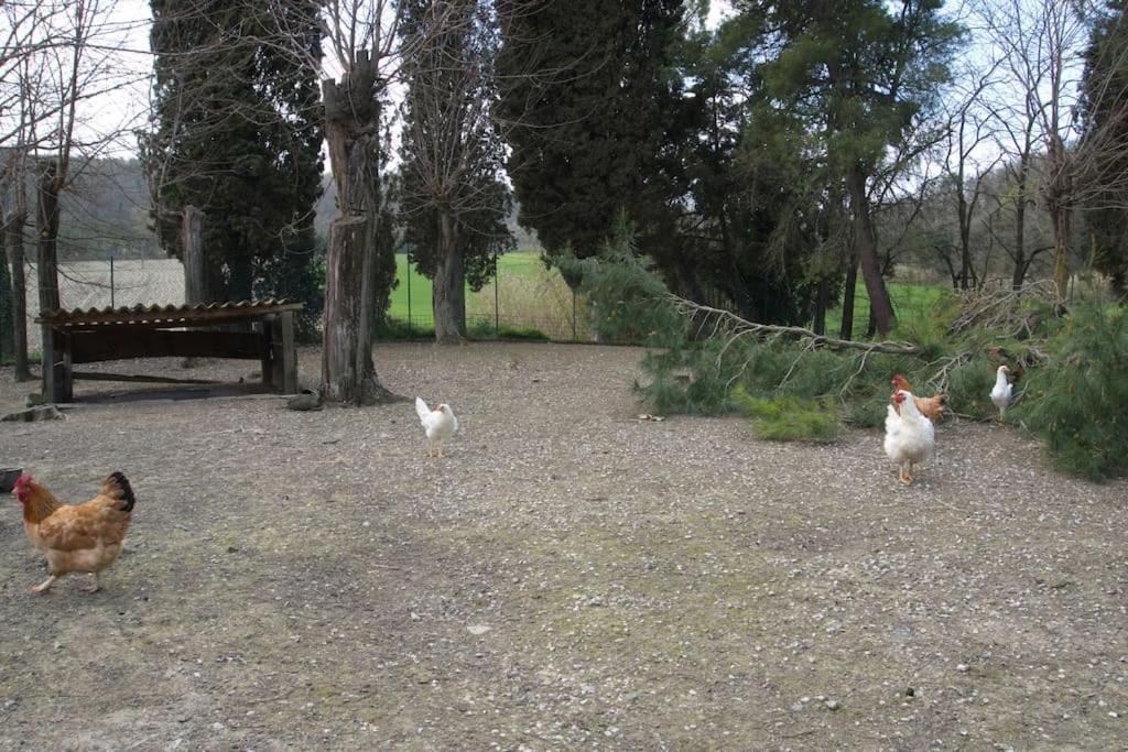 Casa Vacanze Podere San Giusto Вольтерра Екстер'єр фото