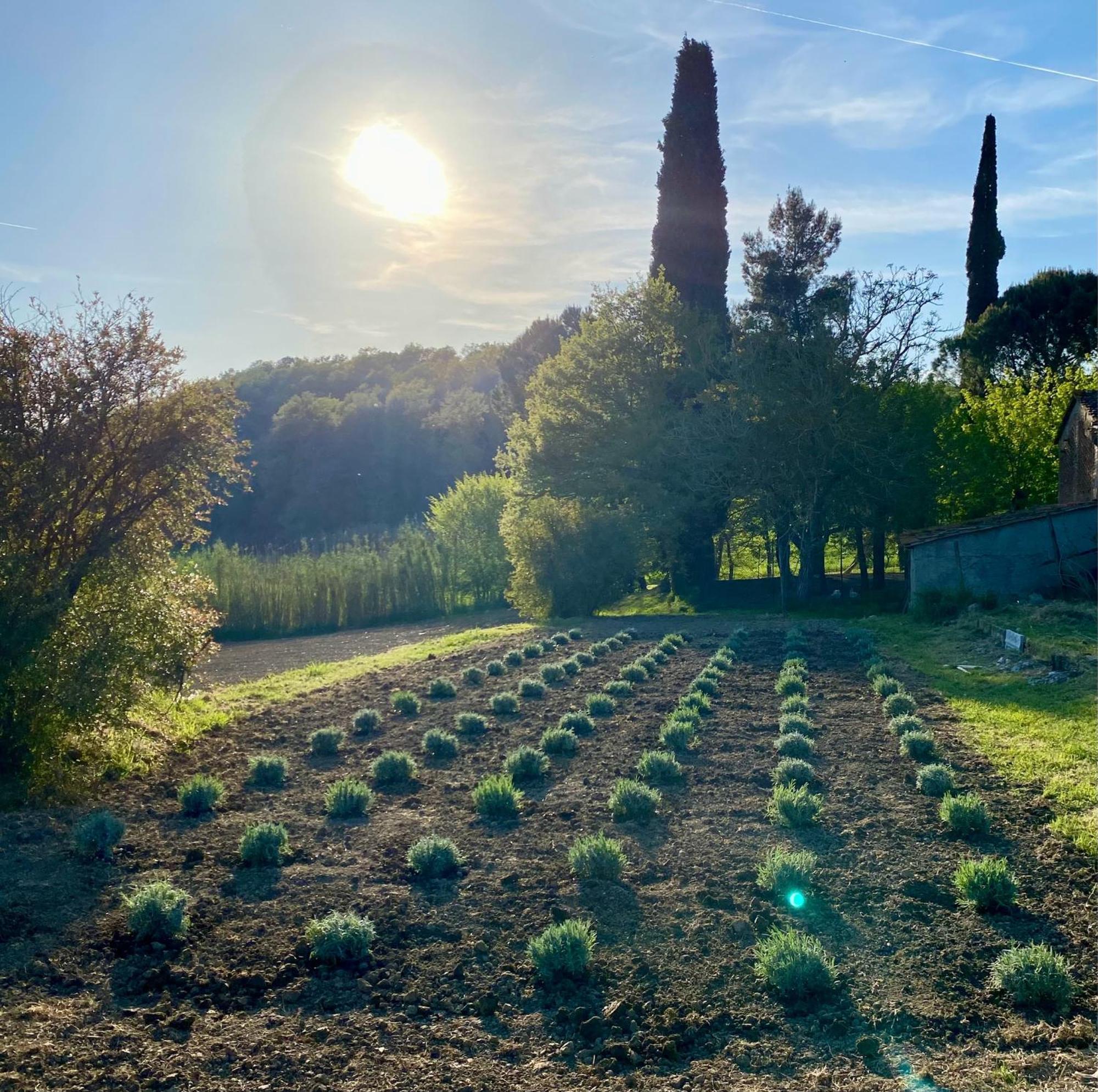 Casa Vacanze Podere San Giusto Вольтерра Екстер'єр фото