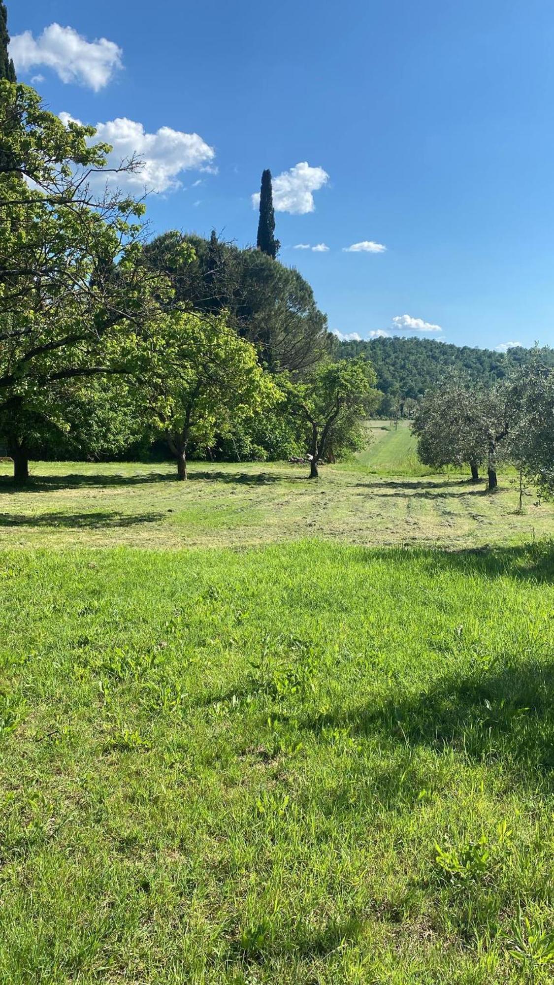 Casa Vacanze Podere San Giusto Вольтерра Екстер'єр фото