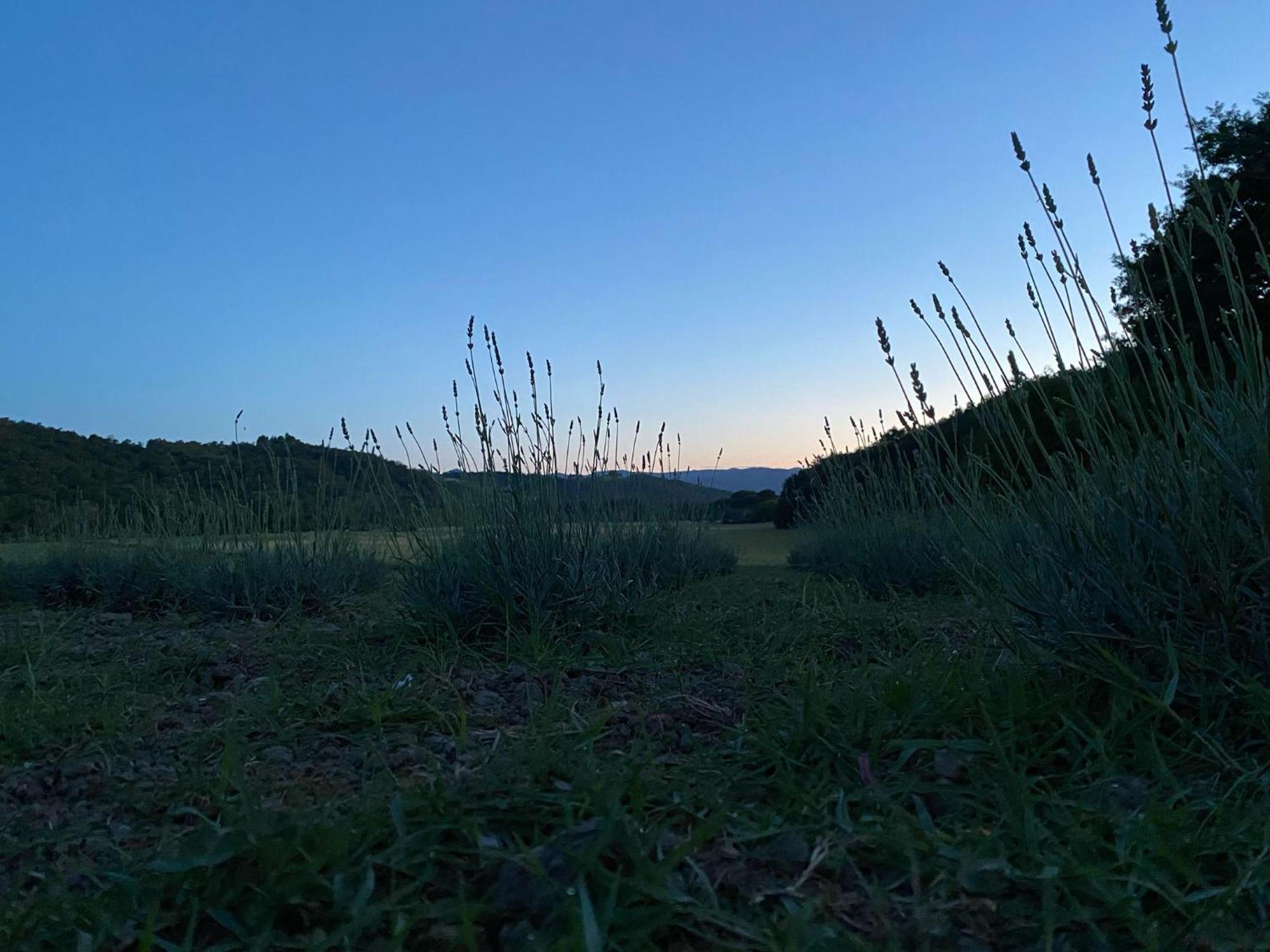 Casa Vacanze Podere San Giusto Вольтерра Екстер'єр фото